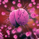 An illustration of Neisseria gonorrhoeae.